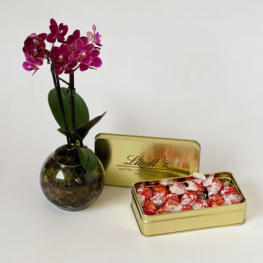 Cesta com Bombons Lindt e Orquídea