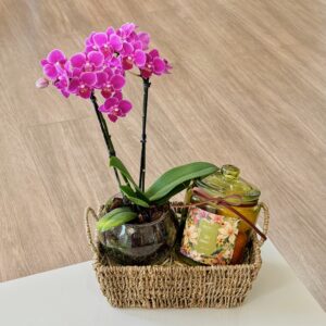 Cesta com Sabonetes e Orquídea