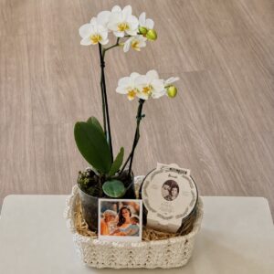 Cesta Dia dos Avós com Biscoitos e Orquídea